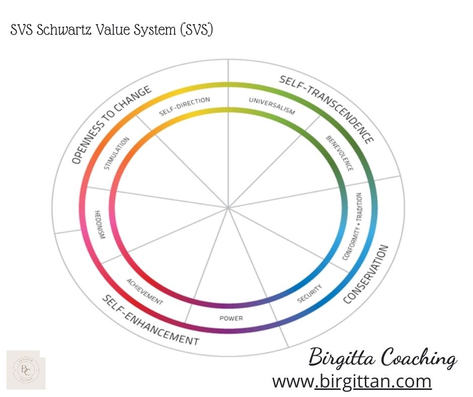 SVS Value systems